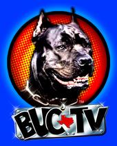 BucTV (coming soon) profile picture