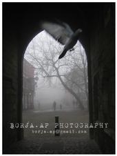 borja.ap photography profile picture
