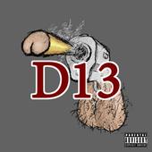 D13 profile picture