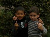 enfants-sauvages profile picture