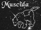 Muscida profile picture