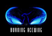 Burning Acewing profile picture