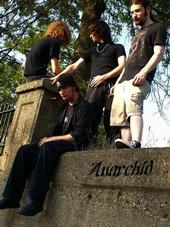 Anarchid (Looking for shows!) profile picture