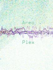 Areo Plex profile picture