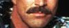 Tom Selleck's Moustache profile picture