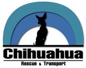 Chihuahua Rescue and Transport profile picture