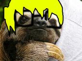 ecniv is in sloth business profile picture