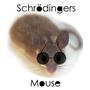 SchrÃ¶dingers Mouse profile picture