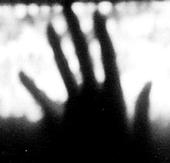 Siren Wire Recordings profile picture
