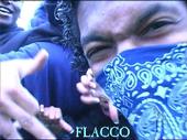 **F. I. P. FLACCO** profile picture