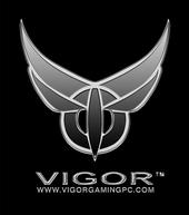 Vigor Gaming profile picture