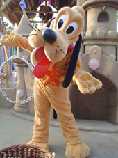 Disneyland Pluto profile picture