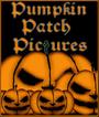 PUMPKIN PATCH PICTURES profile picture