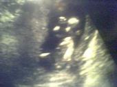 baby knockum has a heart beat!!!! 28 weeks to go! profile picture