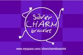 silver charm bracelet profile picture