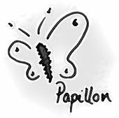 Papillon profile picture