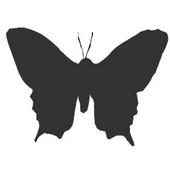 ButterflyLadies profile picture