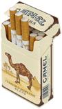 Camel Cigarettes profile picture