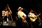 THE DOGHOUSE SKIFFLE GROUP profile picture