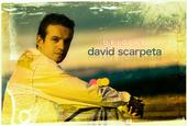 David Scarpeta profile picture