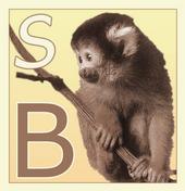 Simian Biscuits profile picture