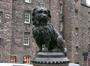 Greyfriars Bobby profile picture