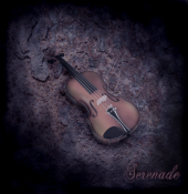 SERENADE profile picture