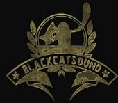 blackcatsound profile picture