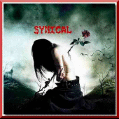 syn profile picture