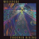 Phoenix Rising profile picture