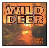 The Wild Deer profile picture