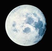 Ciclo Lunar profile picture