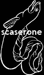 scaserone profile picture