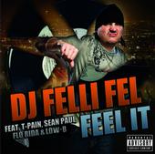 FEEL IT RMX (T-Pain, Flo Rida, Sean Paul, Low-B) profile picture