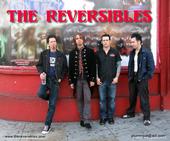 THE REVERSIBLES profile picture