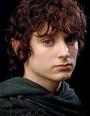 Frodo Baggins *loving her - on her side* profile picture