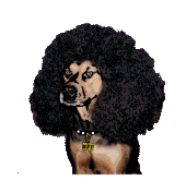 2ft Afro Music profile picture