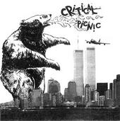 Critical Picnic profile picture