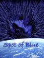 Spot of Blue profile picture