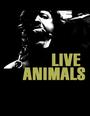 LIVE ANIMALS profile picture