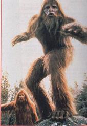 sassyquatch