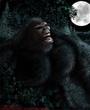 sasquatch profile picture