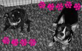 TiNk & MiSsY profile picture