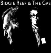 Bidgie Reef & The Gas profile picture