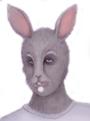 Welfare Bunnies profile picture