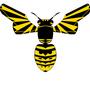 YellowJacket profile picture