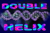 Double Helix profile picture