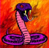 Big Snake profile picture