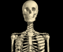 Sue profile picture