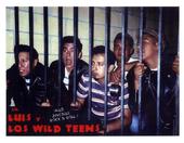 Lil' Luis y Los Wild Teens profile picture